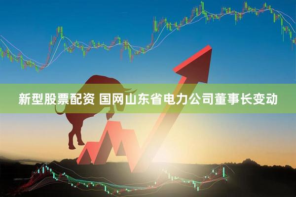 新型股票配资 国网山东省电力公司董事长变动
