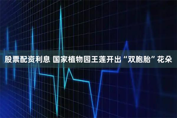股票配资利息 国家植物园王莲开出“双胞胎”花朵